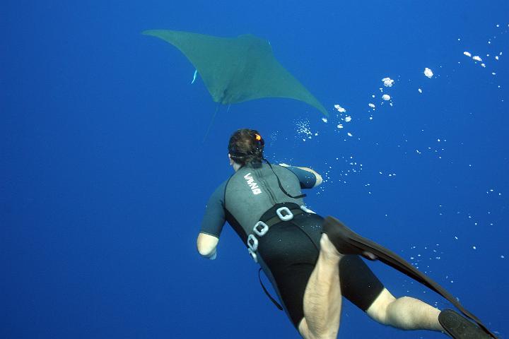 MergulhoPedrinha_Jamantas 070.jpg